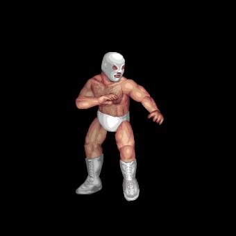 Mr. Wrestling