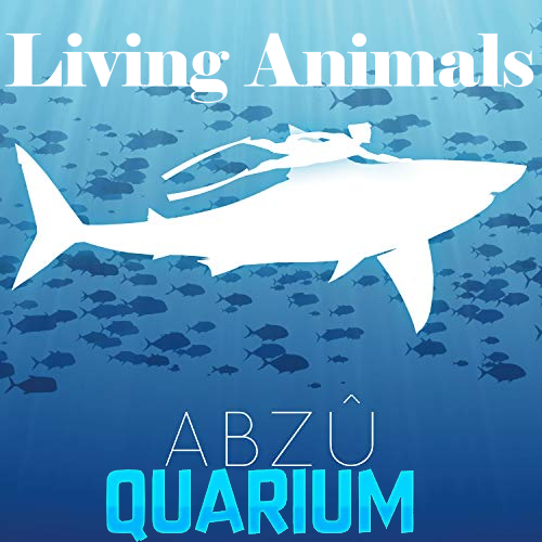 Khaydar's Bazaar - Abzuquarium Animals