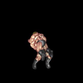 フロントスープレックスホールド / Front Suplex Hold