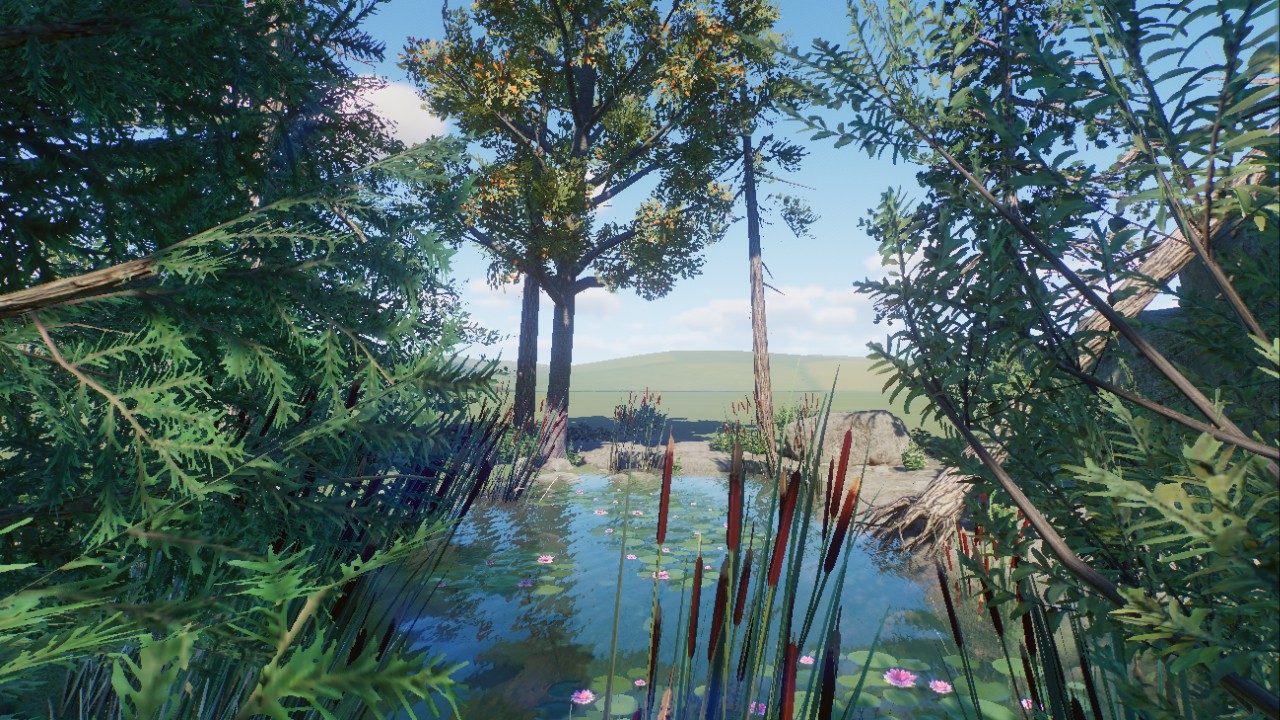 Nature Scenery 6