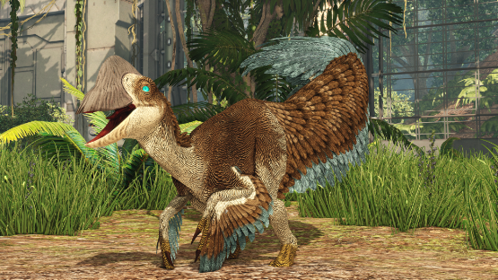 Kookarchyformes Ovi Mutation and skin