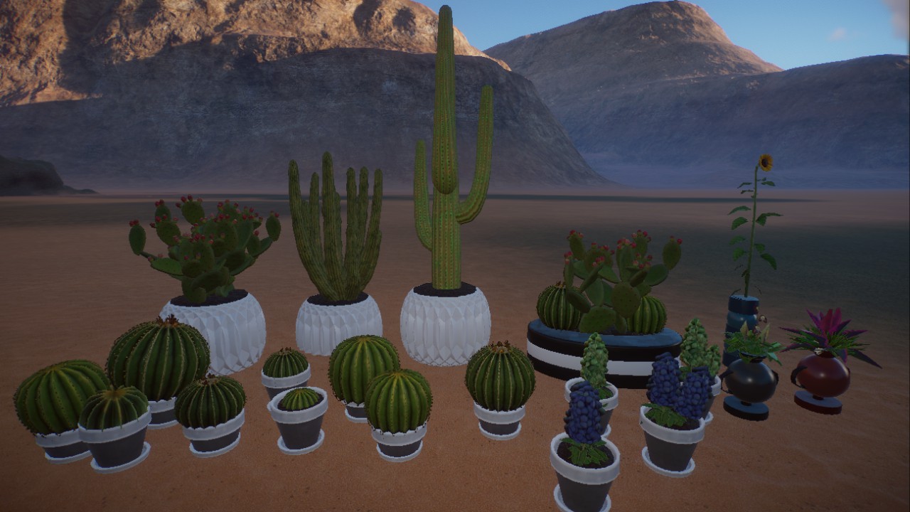 pots with cacti, hyacinths, vases, Blumentöpfe, Kakteen, Vasen