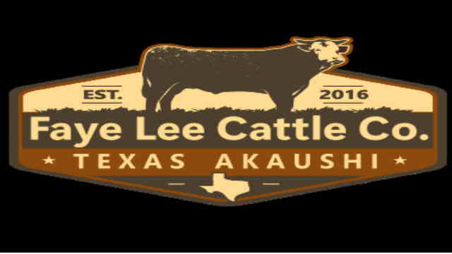Faye Lee Cattle Co. 4 Jon Ruda All trucks Day Cabs