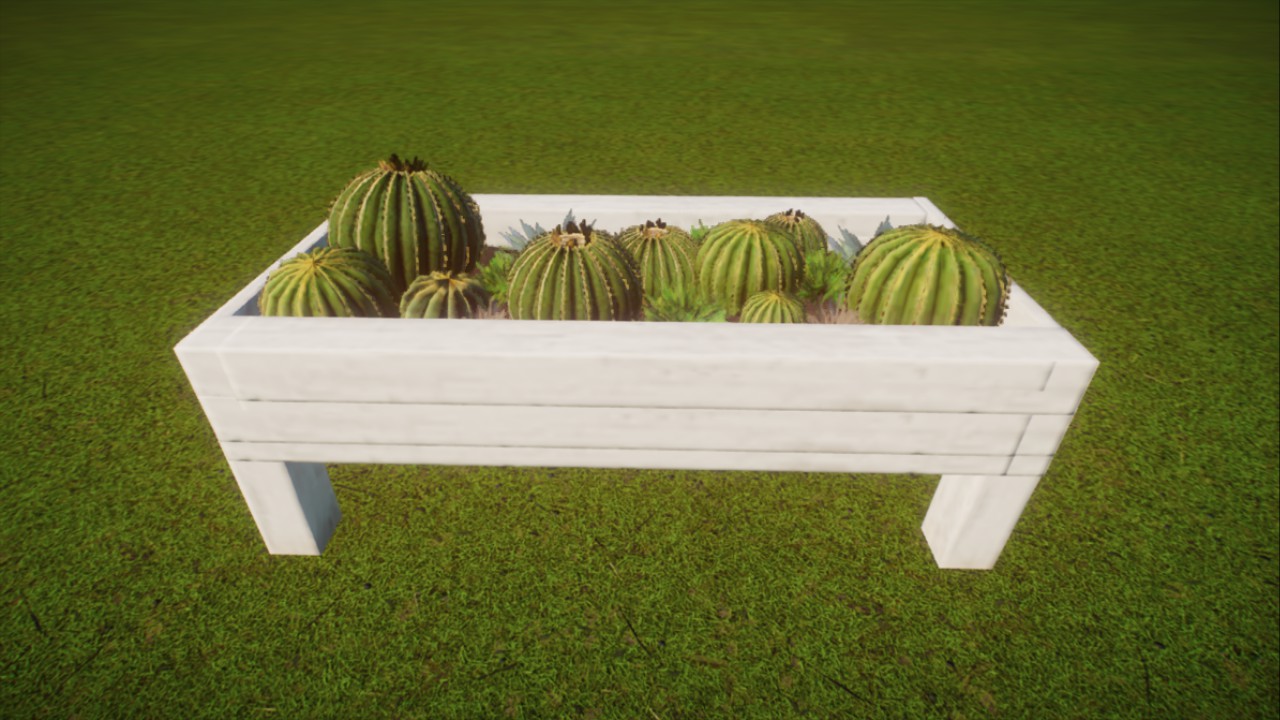 Anna's: High Cactus Planter