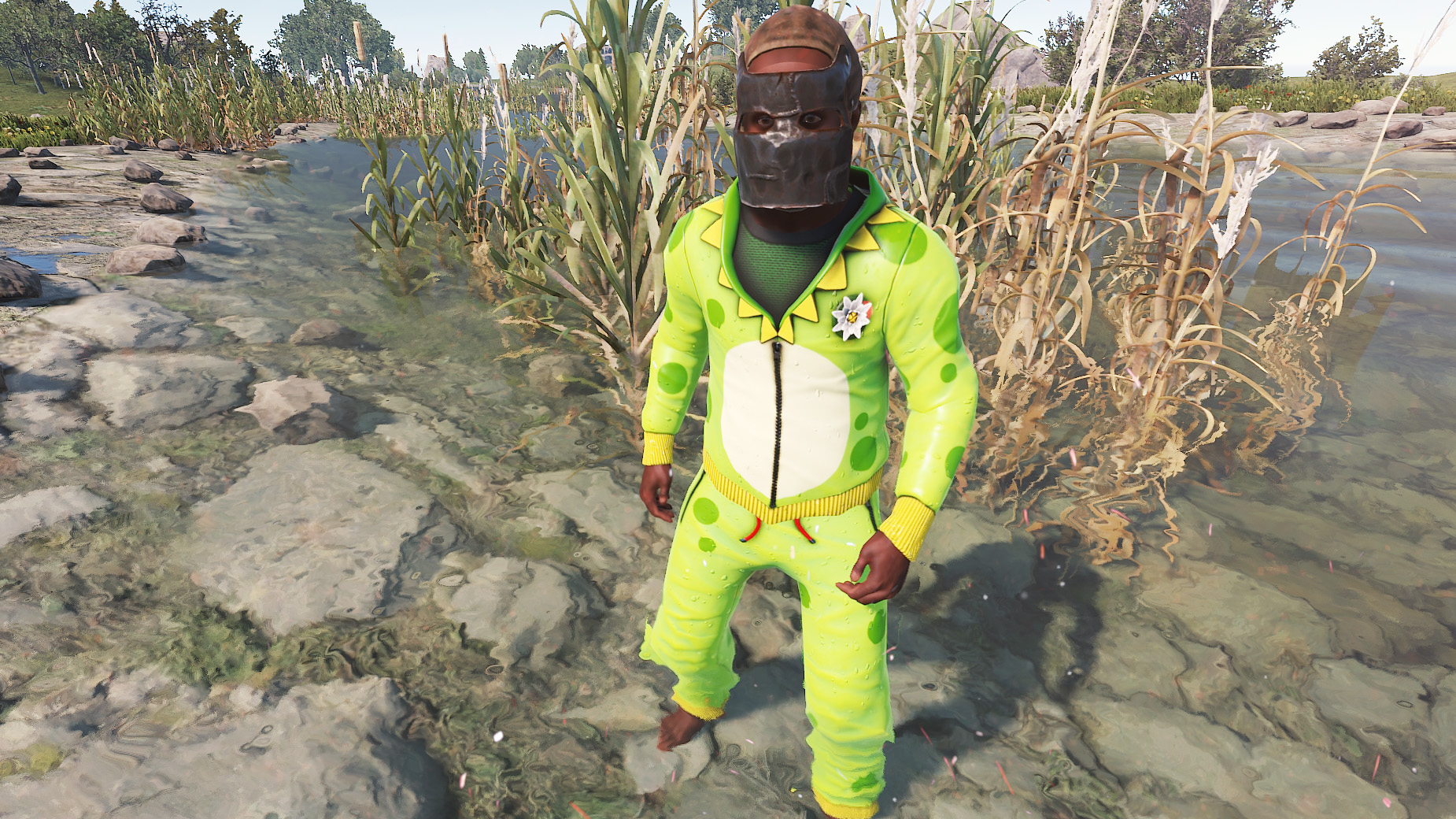 Frog Cosplay Hoodie