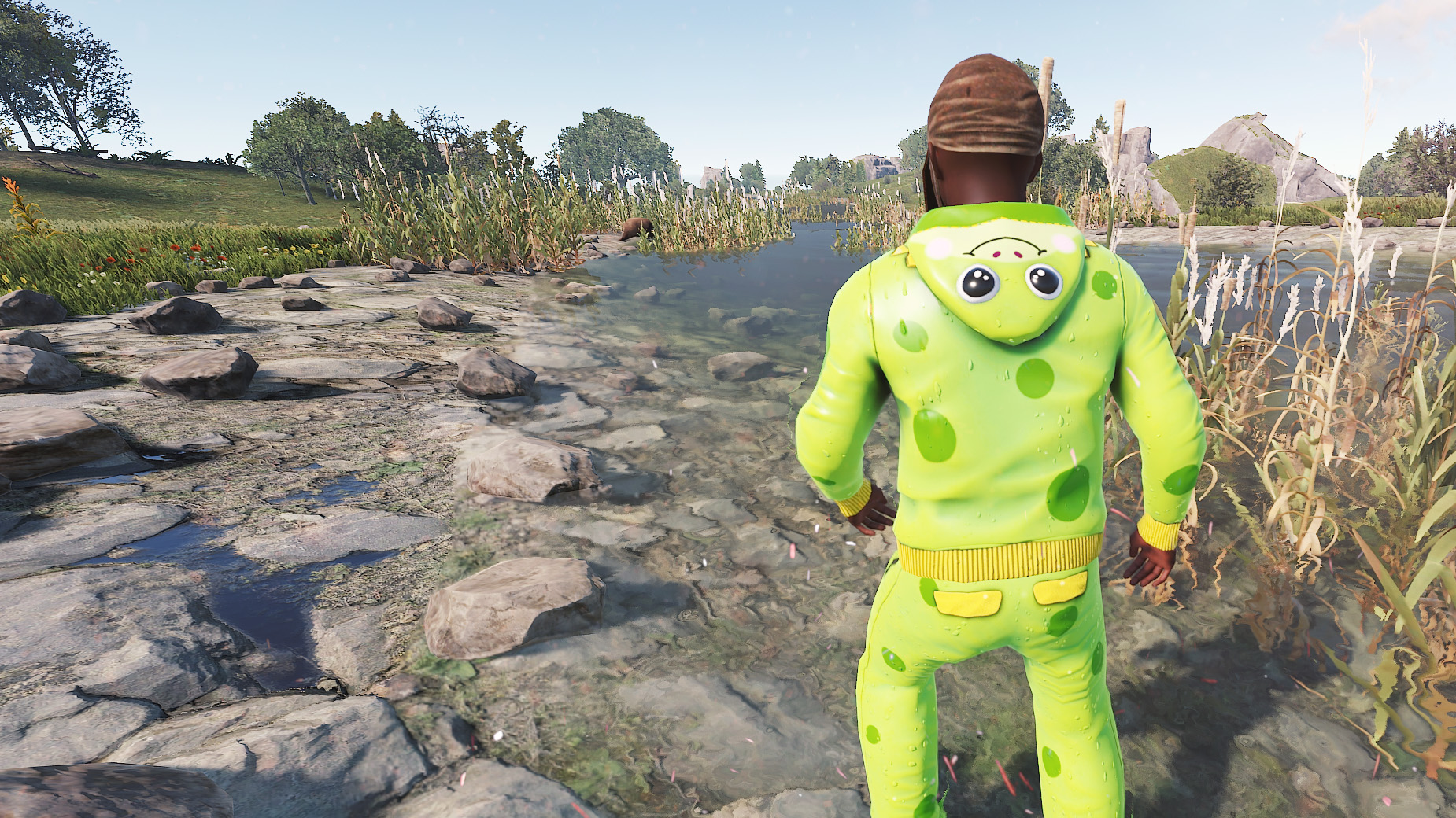 Frog Cosplay Hoodie