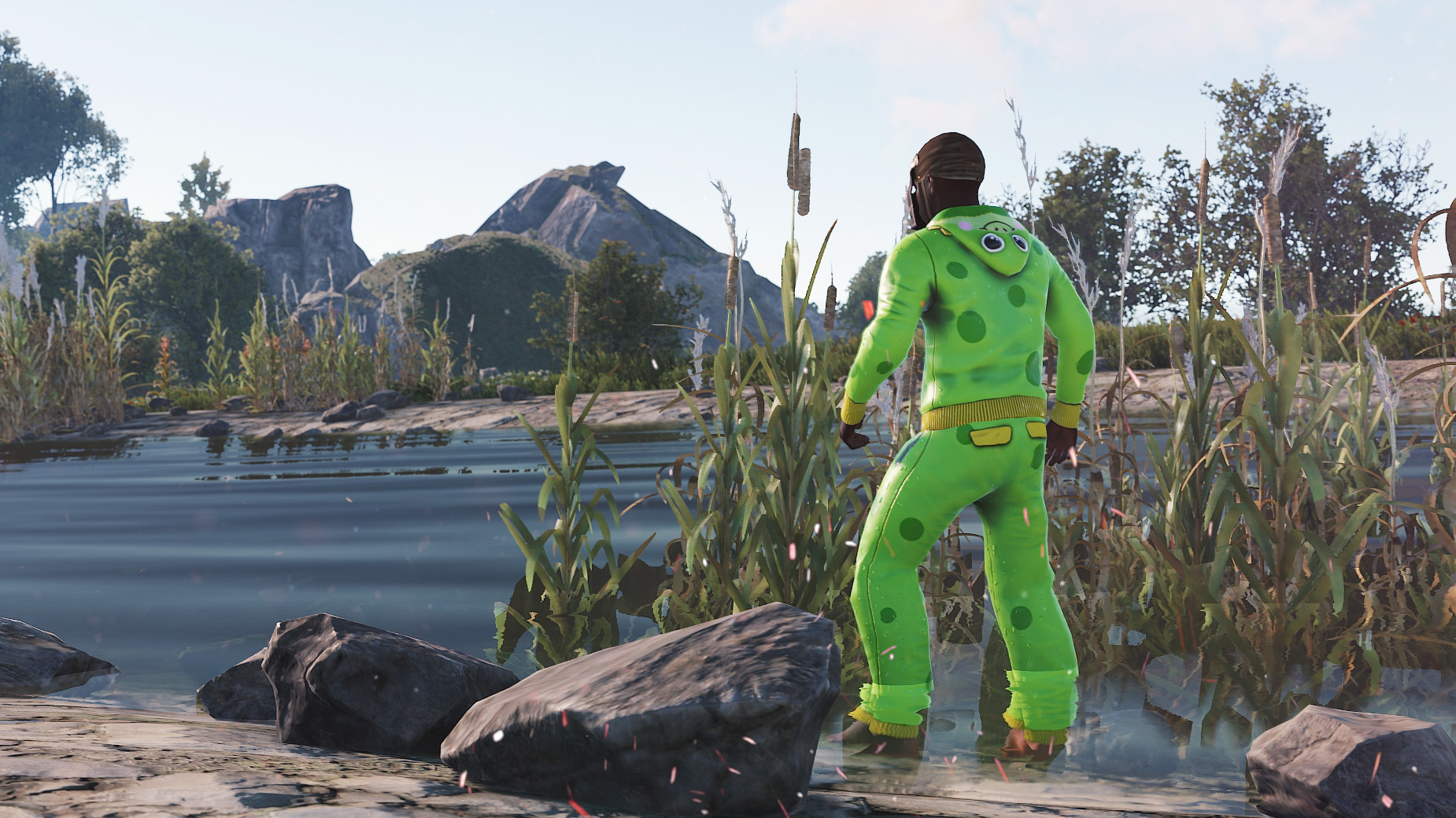 Frog Cosplay Hoodie