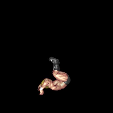 Kip Up (Recovery Taunt)