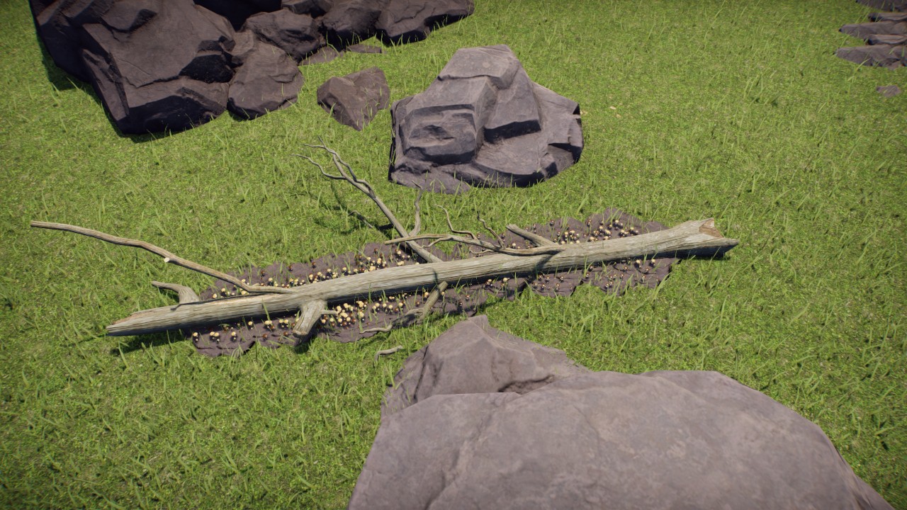 lag log