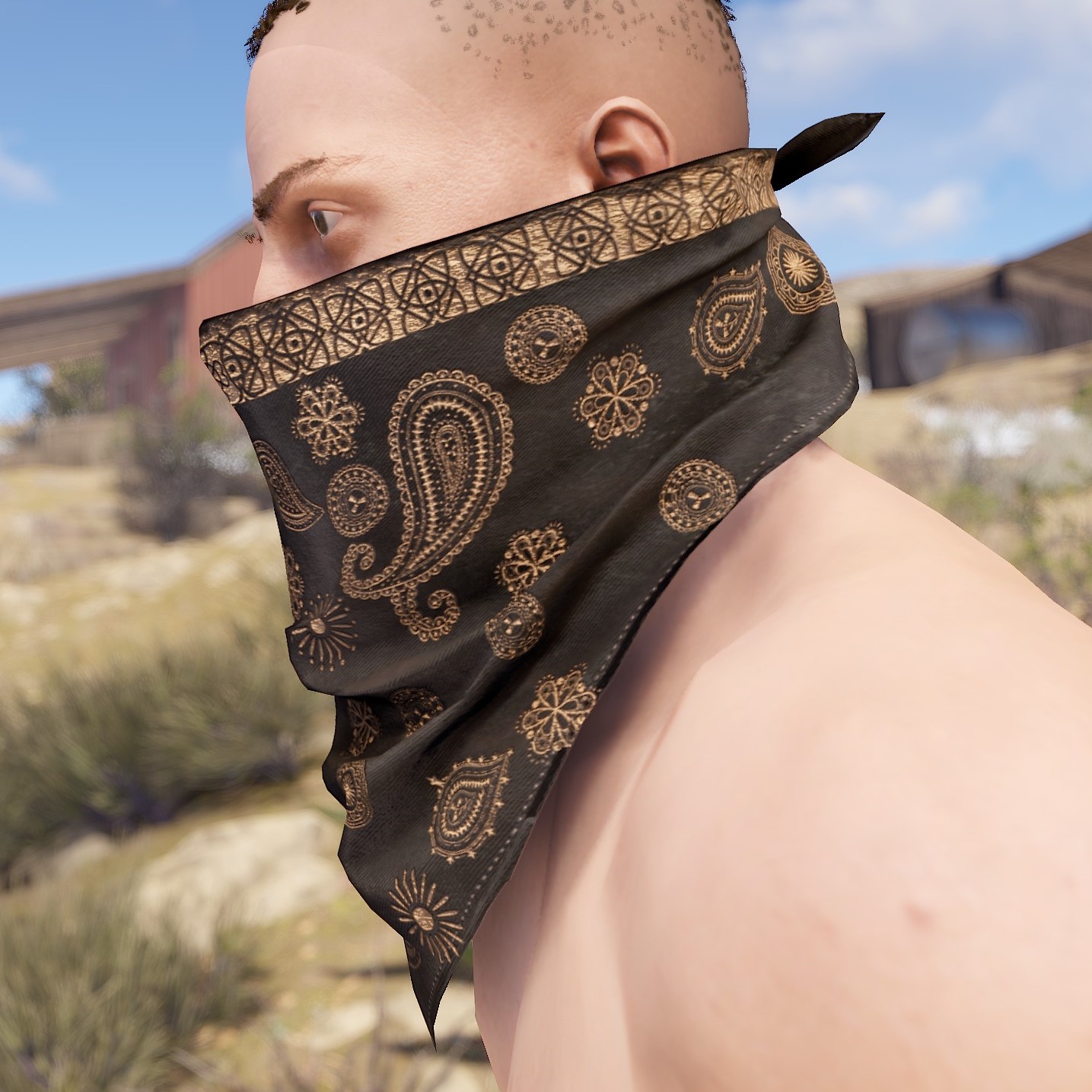 Paisley Bandana