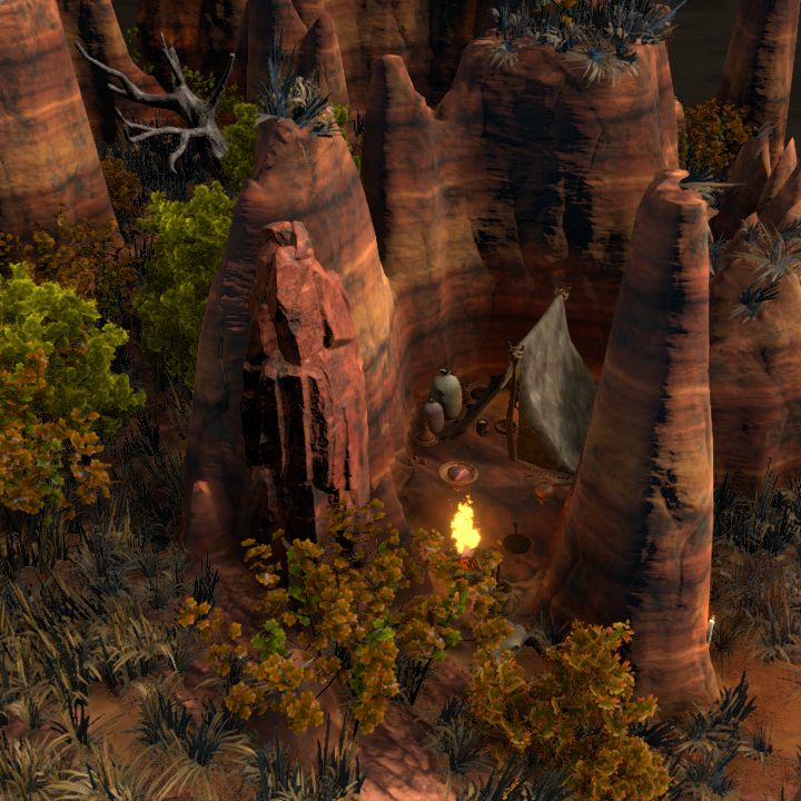 Camp Solitude
