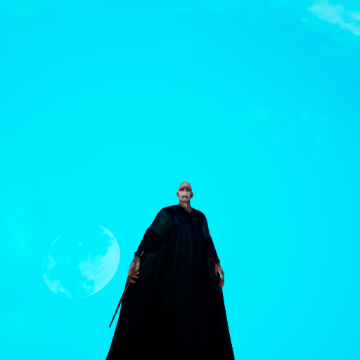 he who must not be named ( lord voldemort )