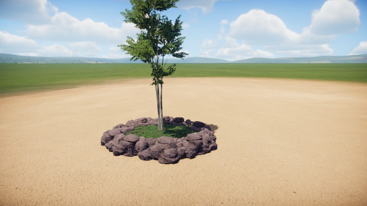 birch tree garden