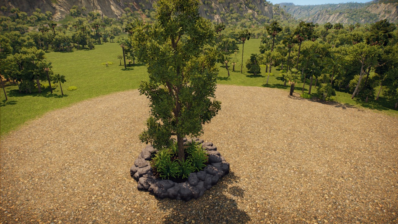 elm tree garden