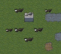 Klisz's Fauna (Ferrets)