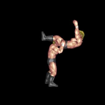 Powerbomb Toss