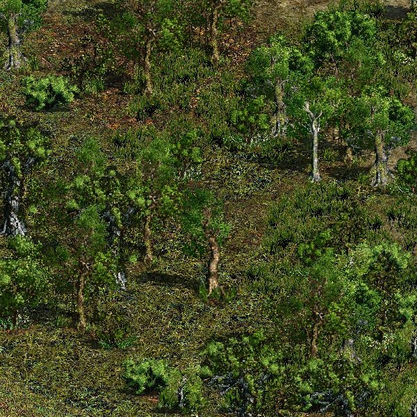 Pesqueira's Jungle 25% Smaller and More Contrast preview