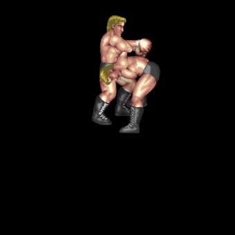 Avalanche Double Arm DDT