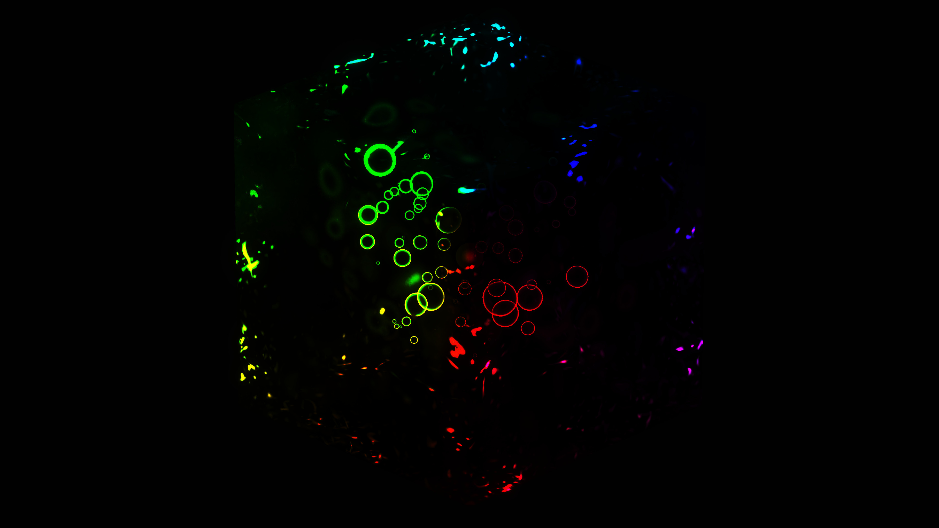 Uiiiii-Test