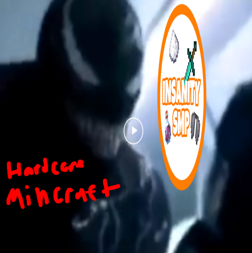 The Insanity SMP