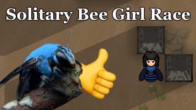 Solitary Bee Girl Race