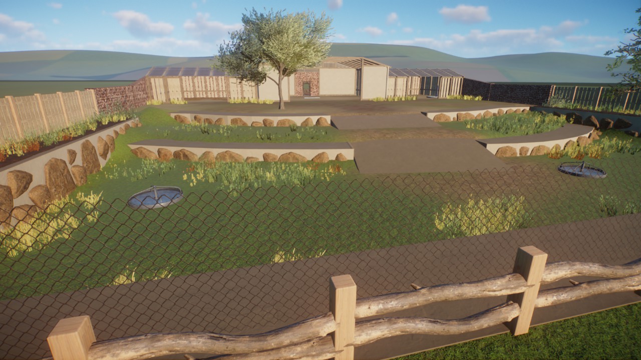 Starter Blue Wildebeest Habitat