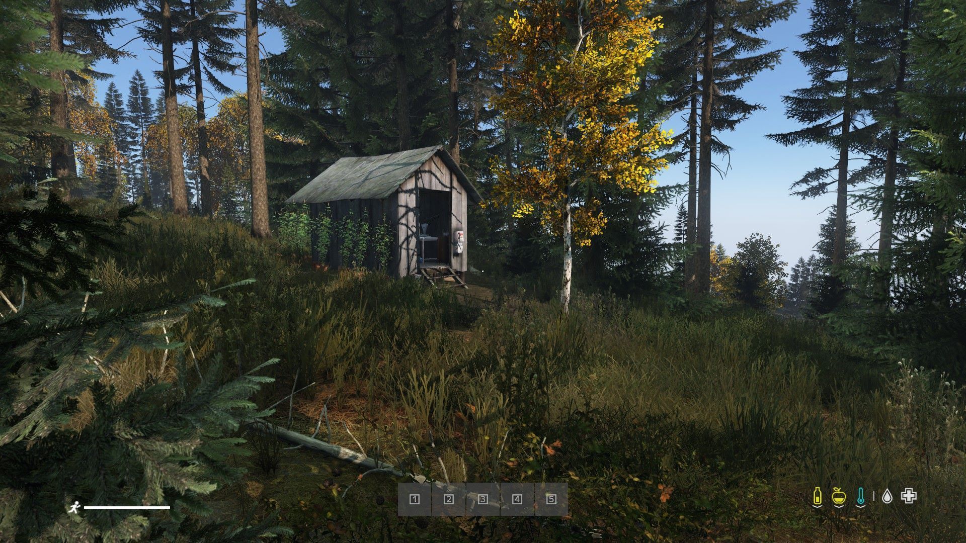 Trader Black Market Chernarus