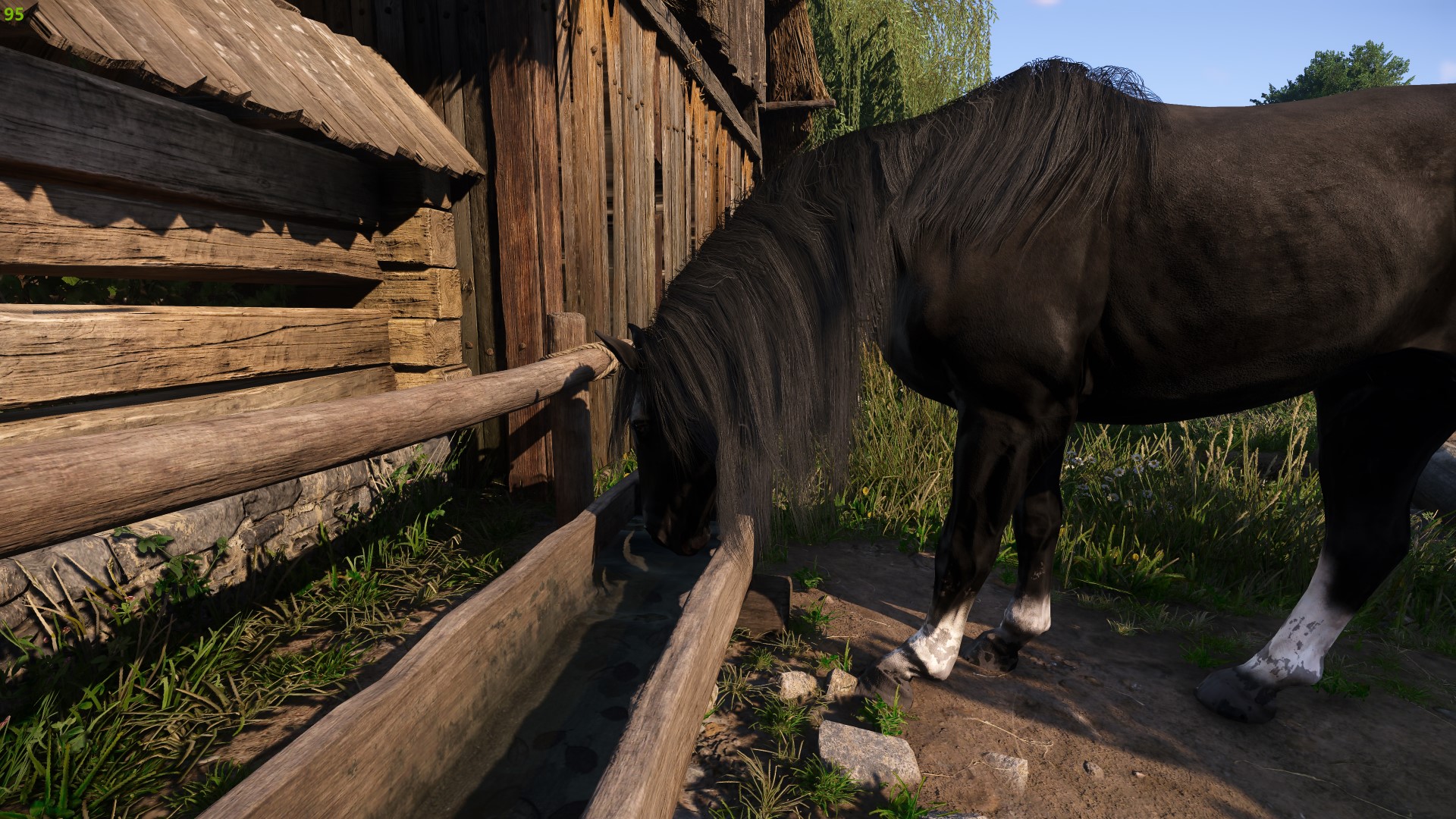 Silent HorseDrinking