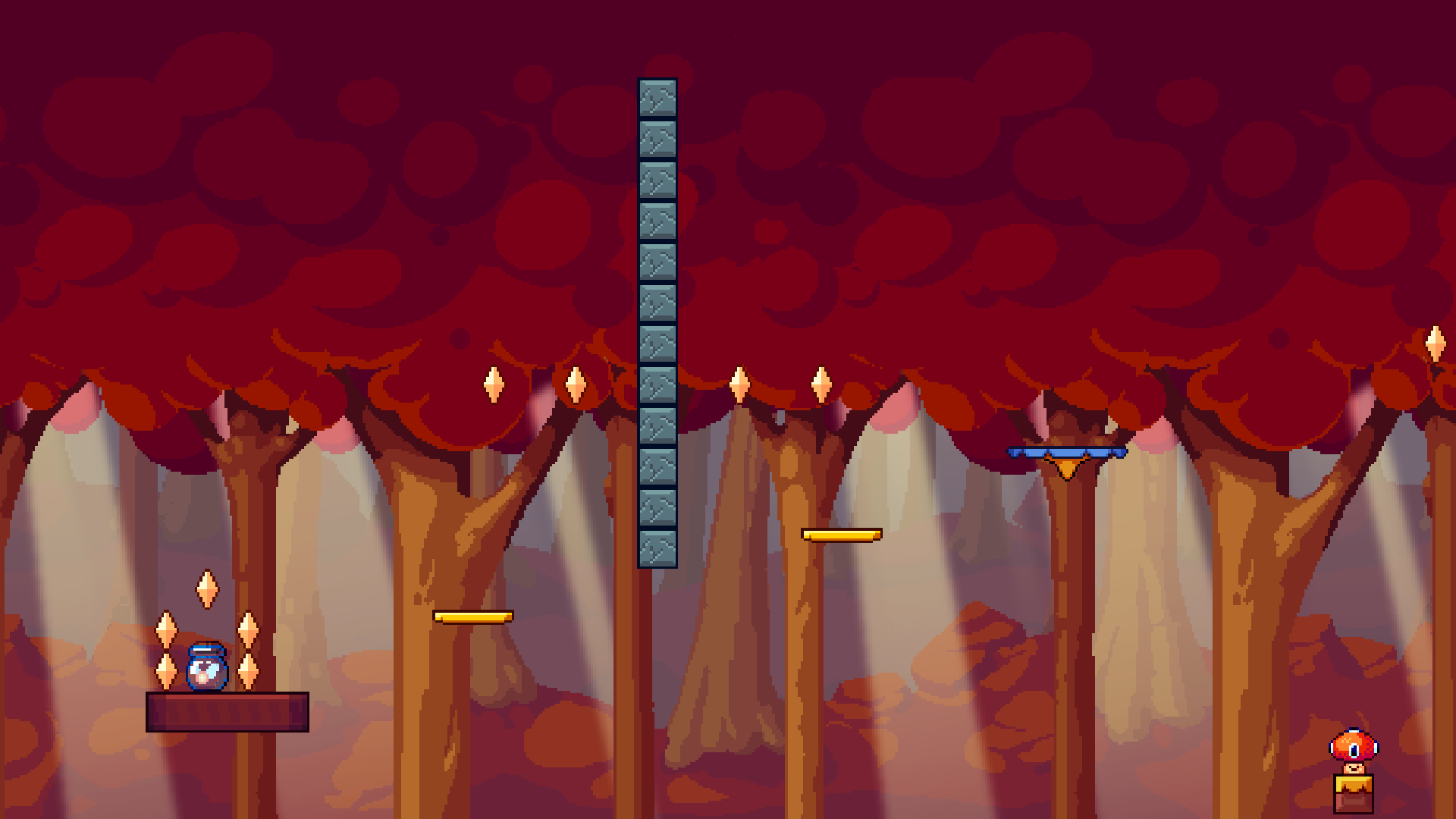 floating fall forest