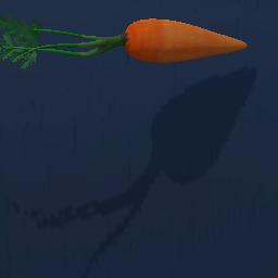Carrot