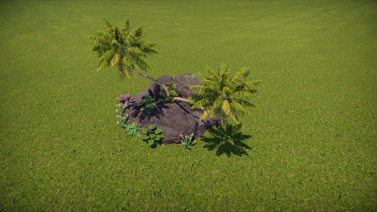 Tropical rock plants 1