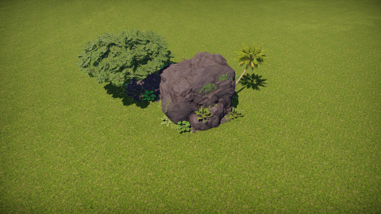 Tropical rock plants 2