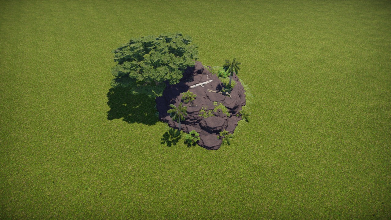 Tropical rock plants 3