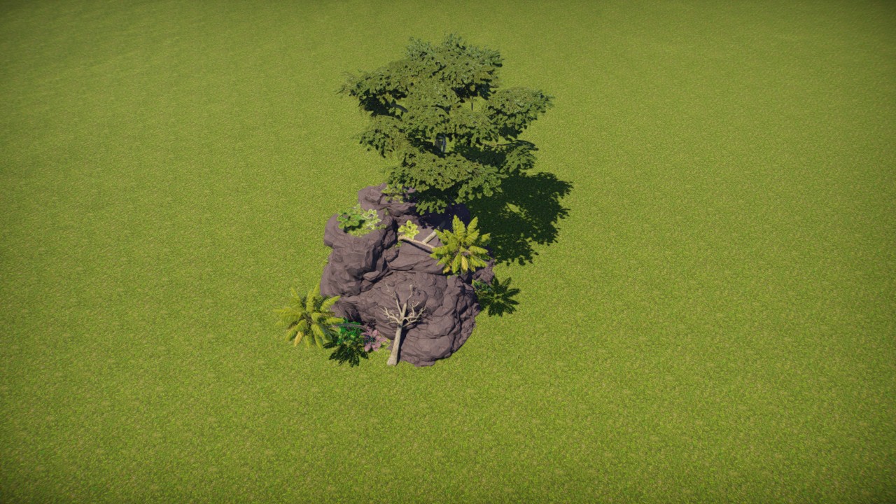 Tropical rock plants 5