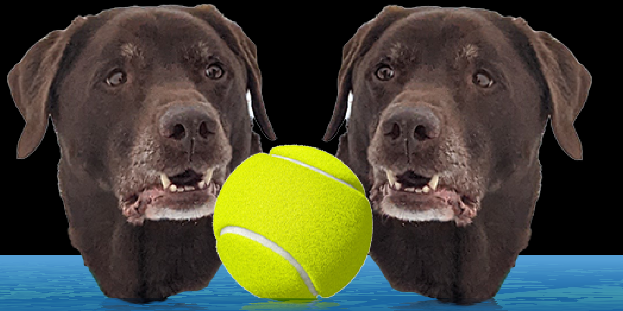 BALL!