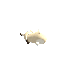 Dog toy squeaky lamb preview