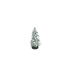Christmas bottle brush tree preview