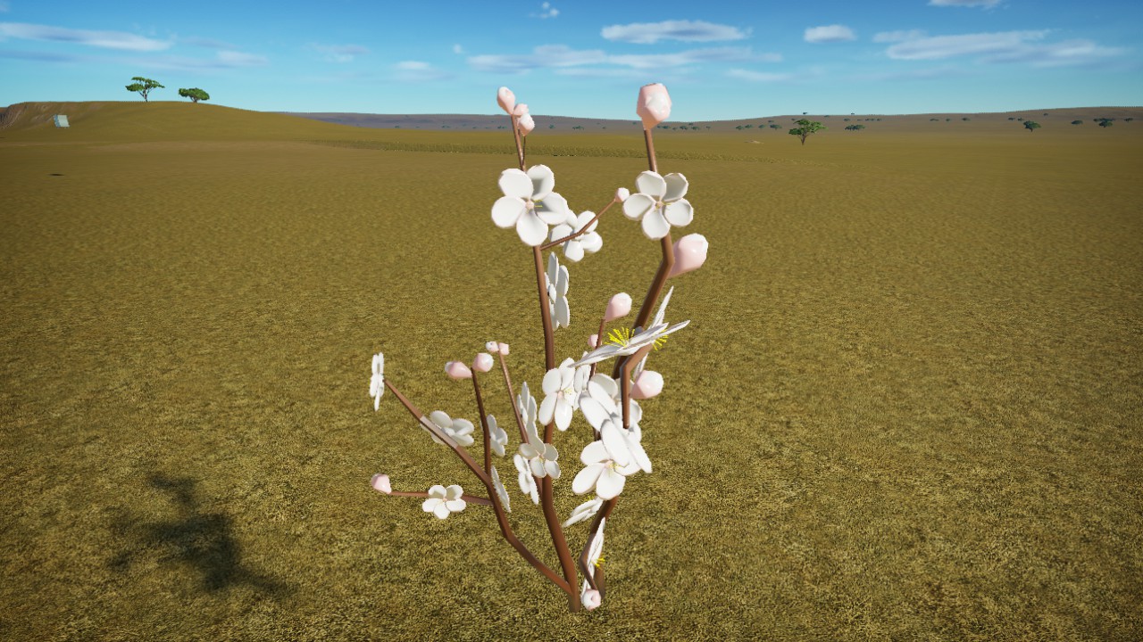 White plum flower