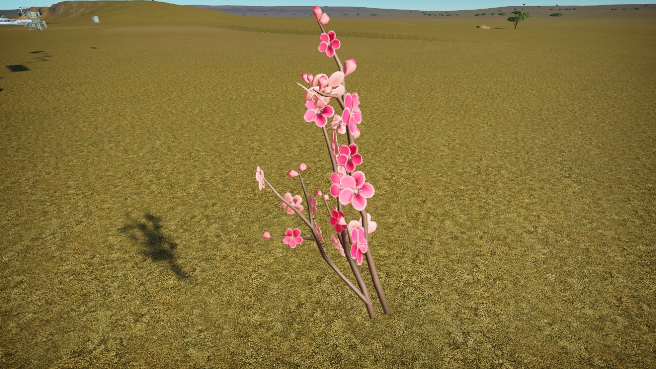 Red plum flower