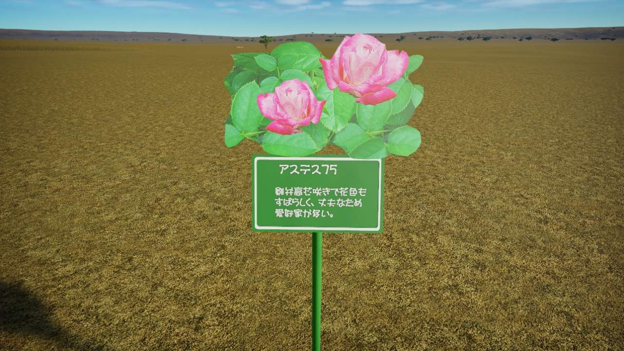 Rose Arutes75