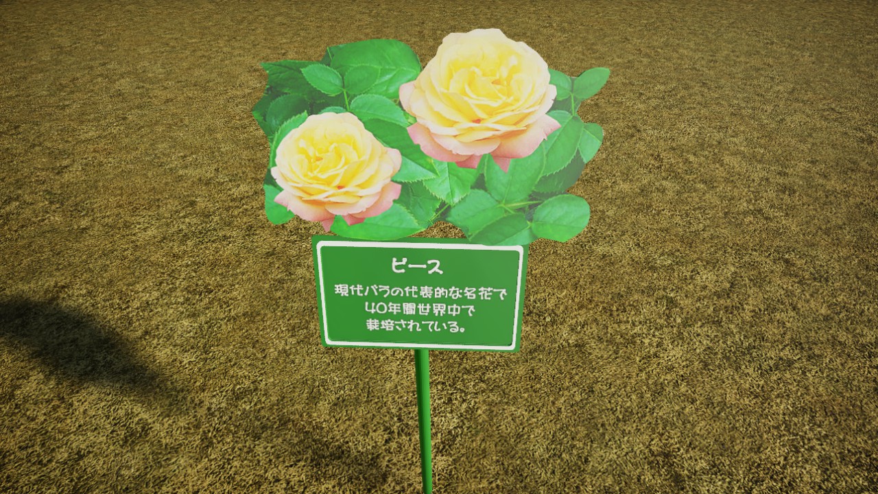 Rose Peace
