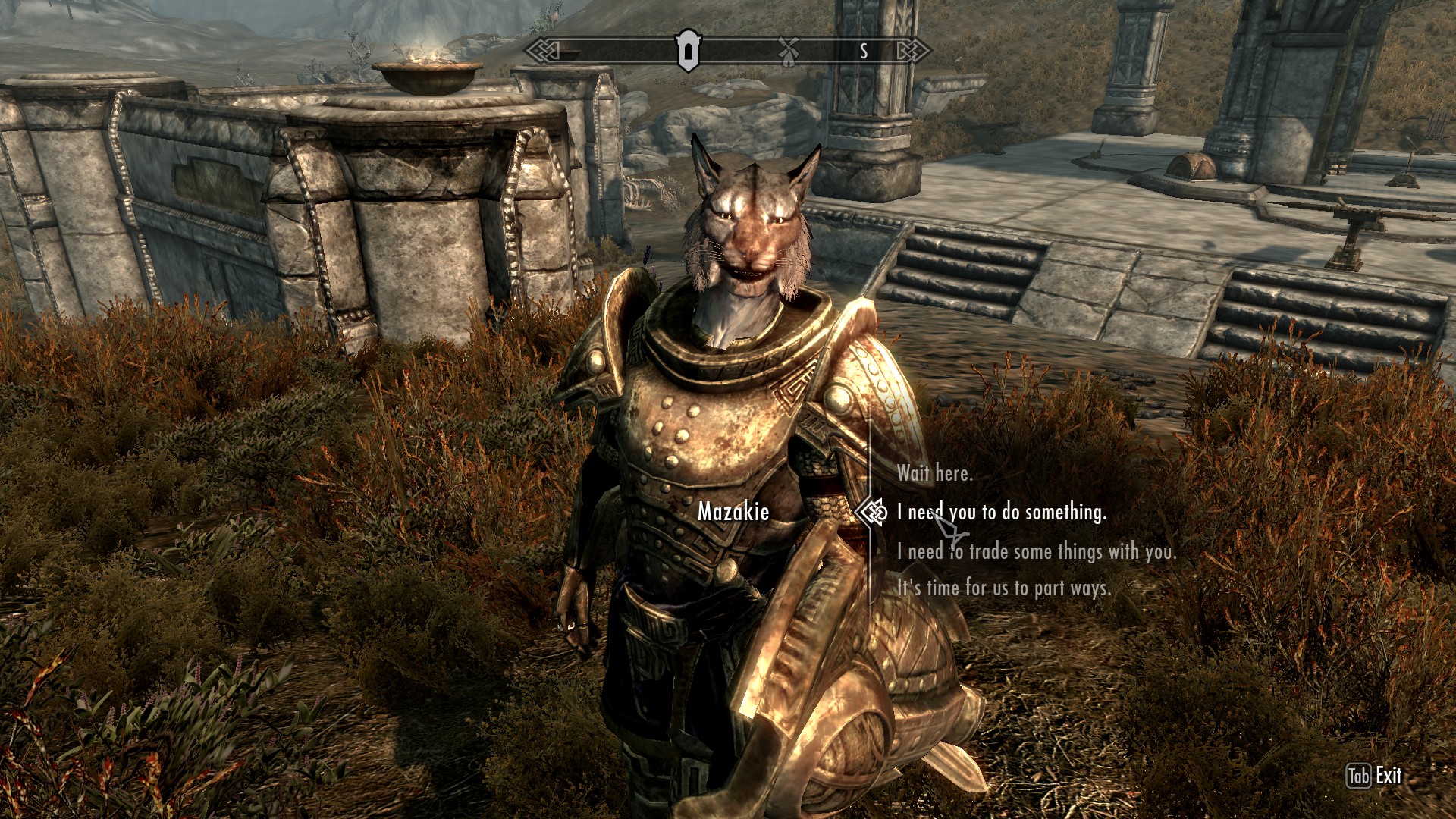 Khajiit Great Lift of Whiterun