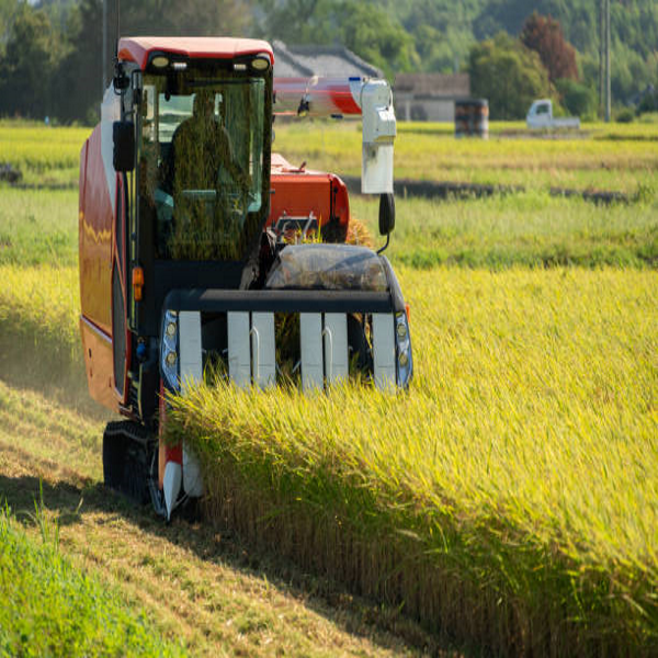 Rise Farms Can Use Tractors