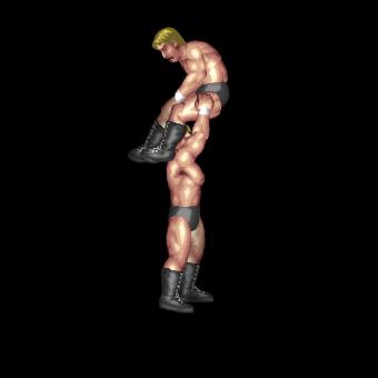 Powerbomb Cutter