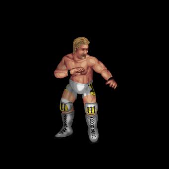 Jeff Jarrett