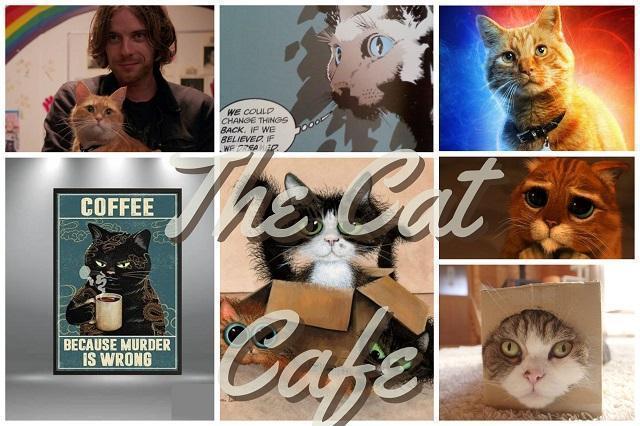 The Cat Cafe