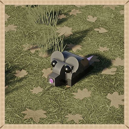 Rat