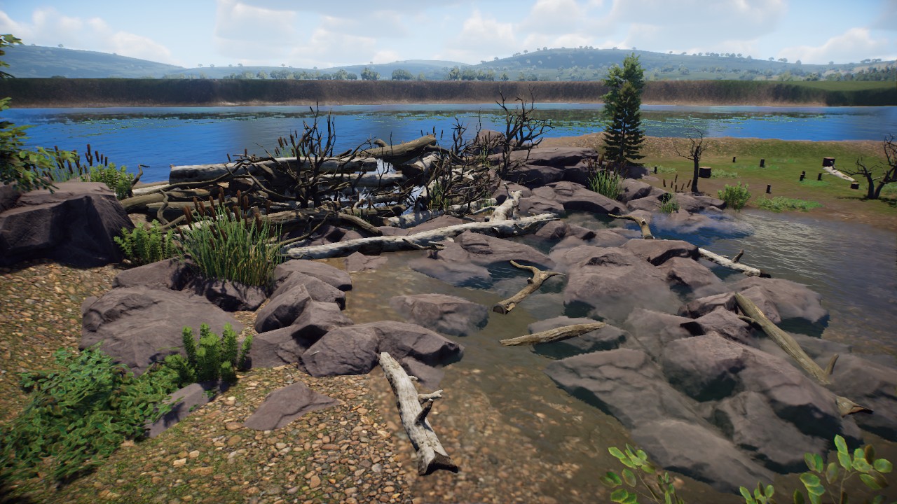 Beaver Dam