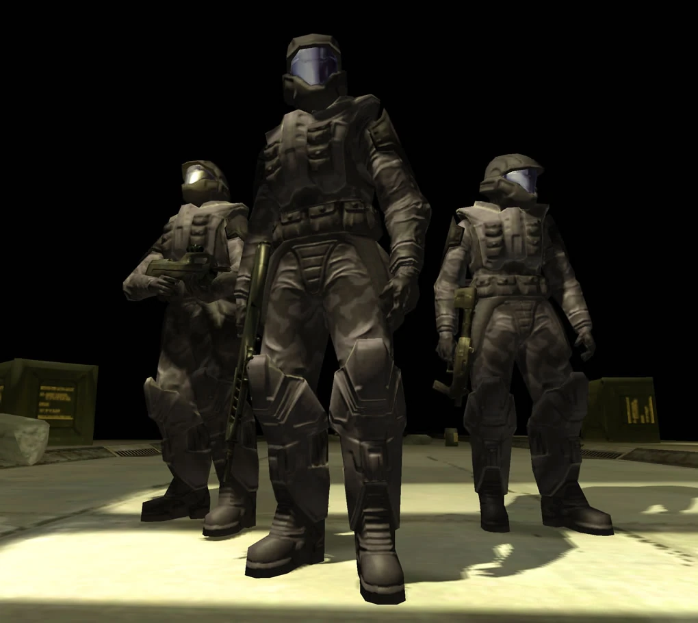 Halo 2: Trooper
