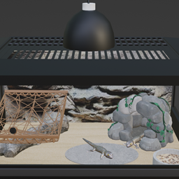 Pet Desk Cage - Tokay Gecko